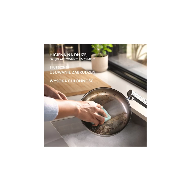 Zmywak Vileda Pro Clean 2szt enzymy