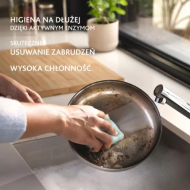 Zmywak Vileda Pro Clean 2szt enzymy