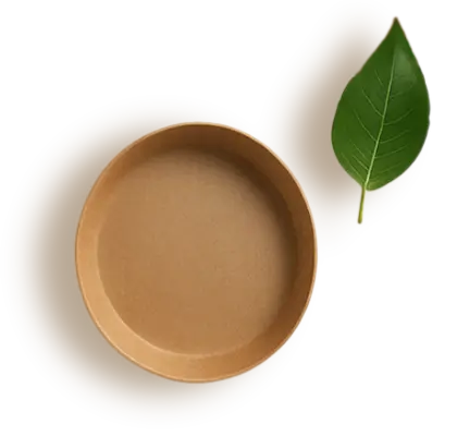 Talerz ekologiczny